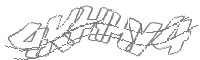 Check code